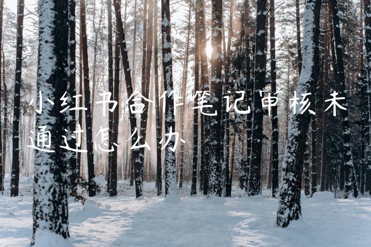 小红书合作笔记审核未通过怎么办