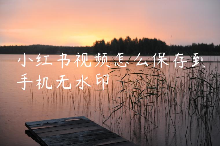 小红书视频怎么保存到手机无水印