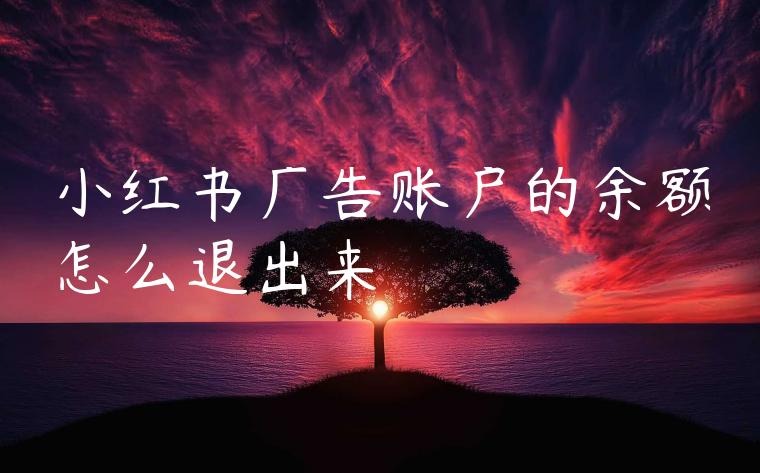 小红书广告账户的余额怎么退出来 小红书广告账户的余额怎么退出来