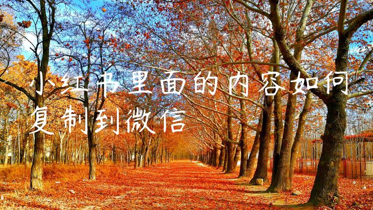 小红书里面的内容如何复制到微信 小红书里面的内容如何复制到微信