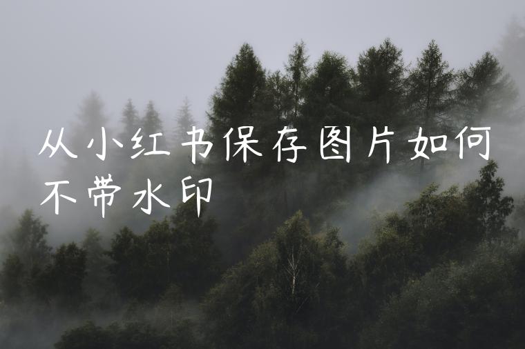 从小红书保存图片如何不带水印