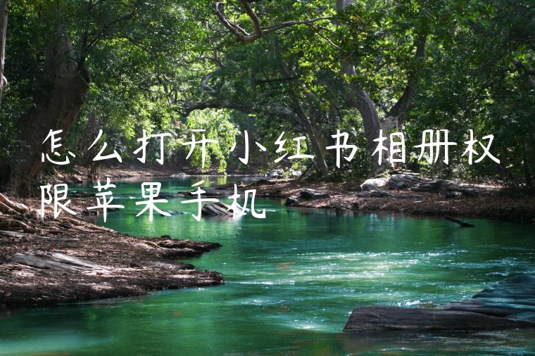 怎么打开小红书相册权限苹果手机 怎么打开小红书相册权限苹果手机