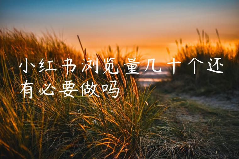小红书浏览量几十个还有必要做吗