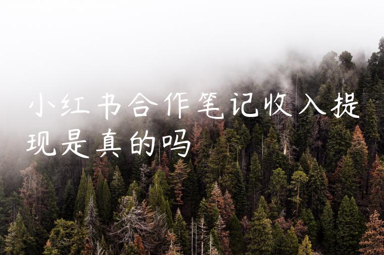 小红书合作笔记收入提现是真的吗 小红书合作笔记收入提现是真的吗