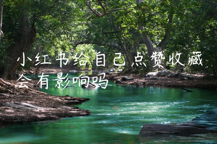 小红书给自己点赞收藏会有影响吗 小红书给自己点赞收藏会有影响吗