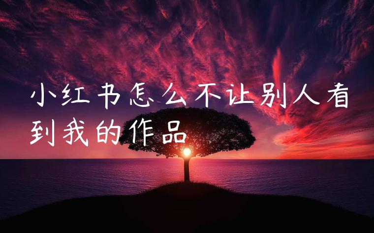小红书怎么不让别人看到我的作品 小红书怎么不让别人看到我的作品