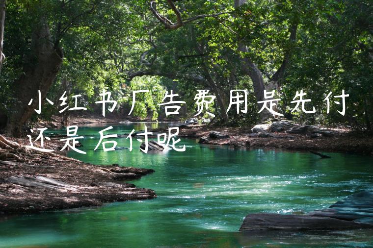 小红书广告费用是先付还是后付呢 小红书广告费用是先付还是后付呢