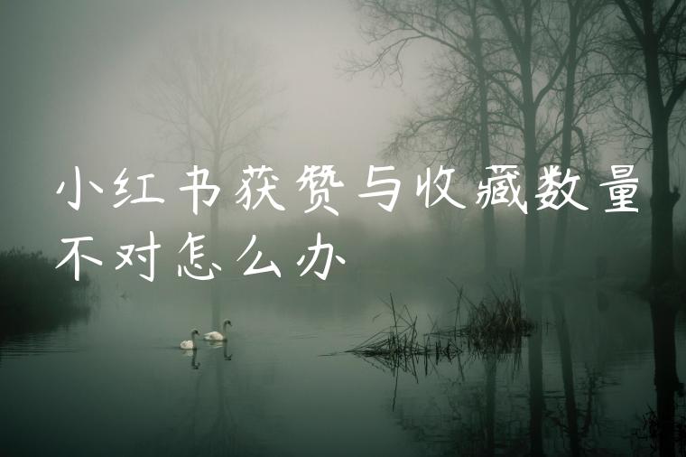 小红书获赞与收藏数量不对怎么办 小红书获赞与收藏数量不对怎么办