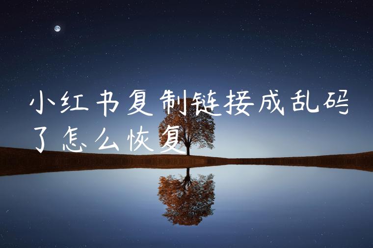 小红书复制链接成乱码了怎么恢复 小红书复制链接成乱码了怎么恢复