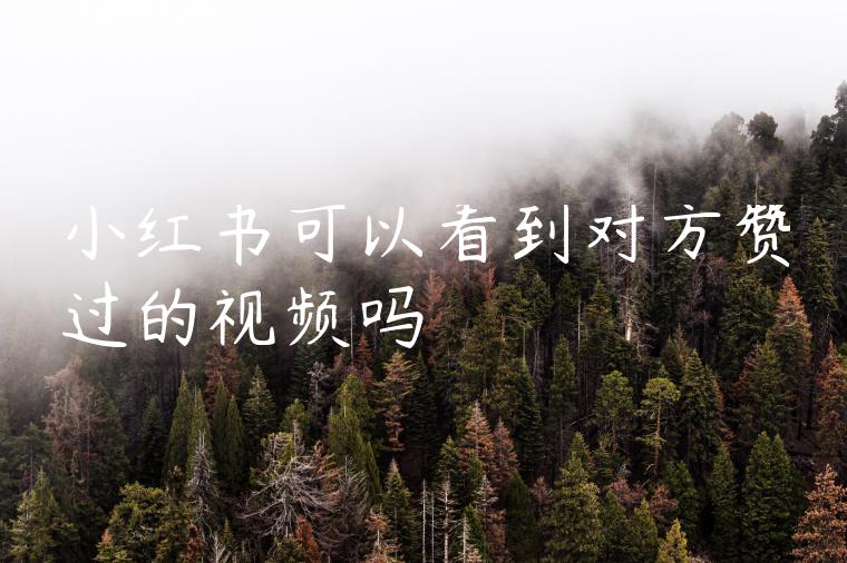 小红书可以看到对方赞过的视频吗 小红书可以看到对方赞过的视频吗