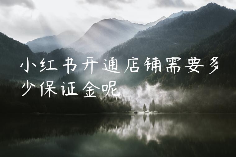 小红书开通店铺需要多少保证金呢