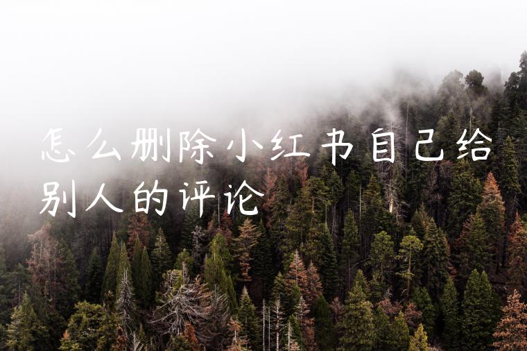怎么删除小红书自己给别人的评论