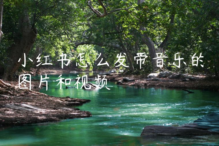 小红书怎么发带音乐的图片和视频 小红书怎么发带音乐的图片和视频