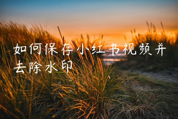 如何保存小红书视频并去除水印 如何保存小红书视频并去除水印