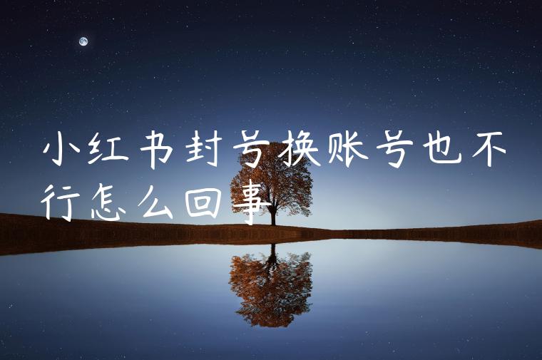 小红书封号换账号也不行怎么回事 小红书封号换账号也不行怎么回事