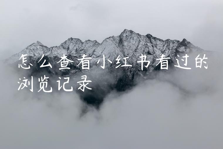 怎么查看小红书看过的浏览记录