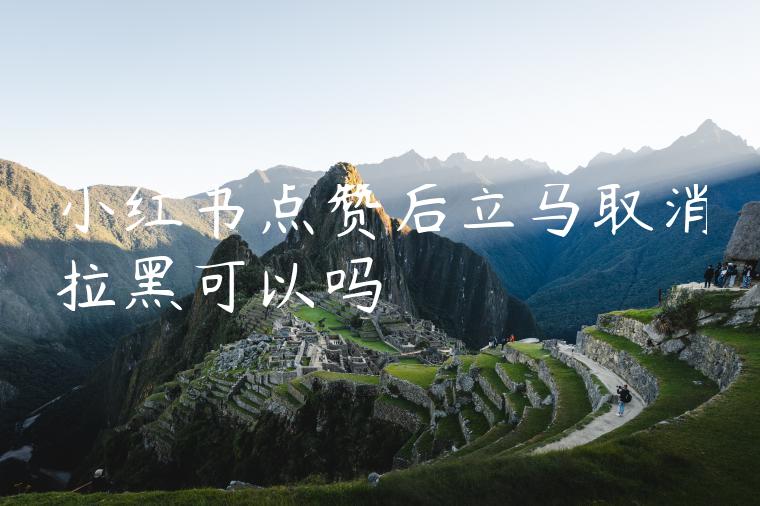 小红书点赞后立马取消拉黑可以吗