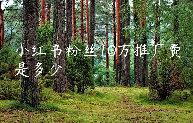 小红书粉丝10万推广费是多少