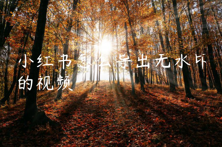 小红书怎么导出无水印的视频 小红书怎么导出无水印的视频