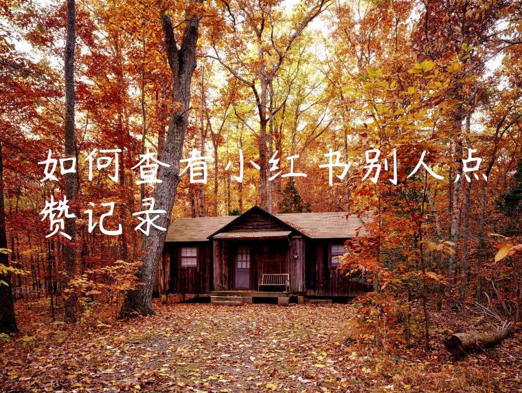 如何查看小红书别人点赞记录