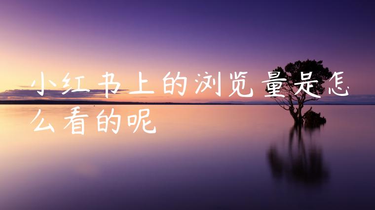 小红书上的浏览量是怎么看的呢