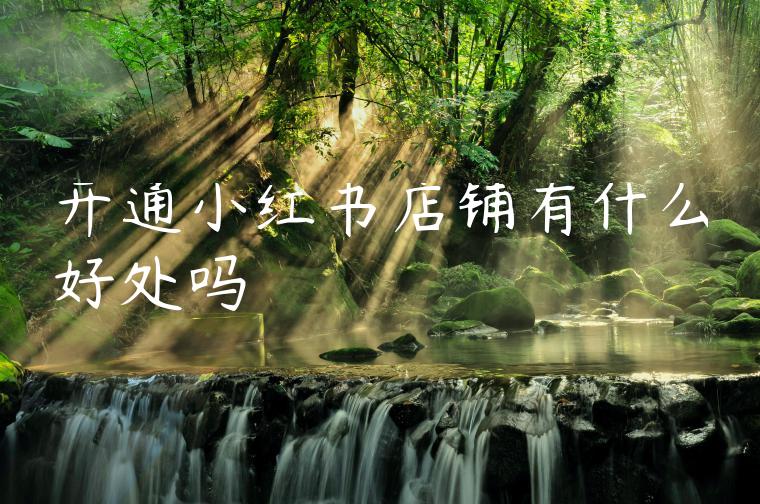 开通小红书店铺有什么好处吗