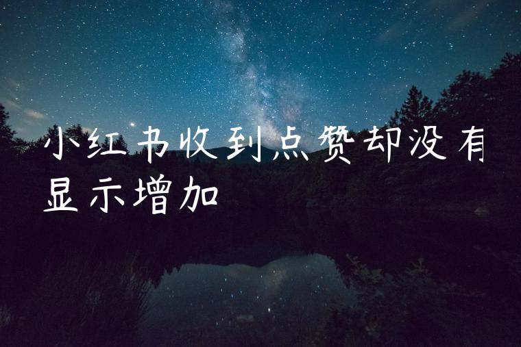 小红书收到点赞却没有显示增加 小红书收到点赞却没有显示增加