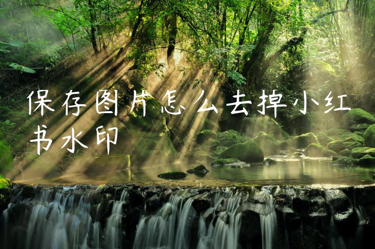 保存图片怎么去掉小红书水印