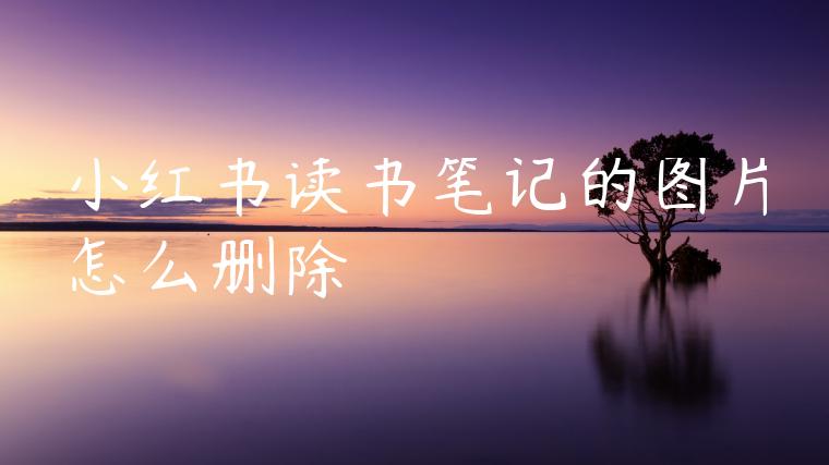 小红书读书笔记的图片怎么删除 小红书读书笔记的图片怎么删除