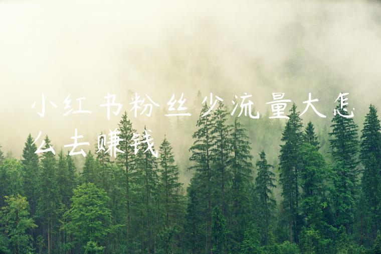 小红书粉丝少流量大怎么去赚钱