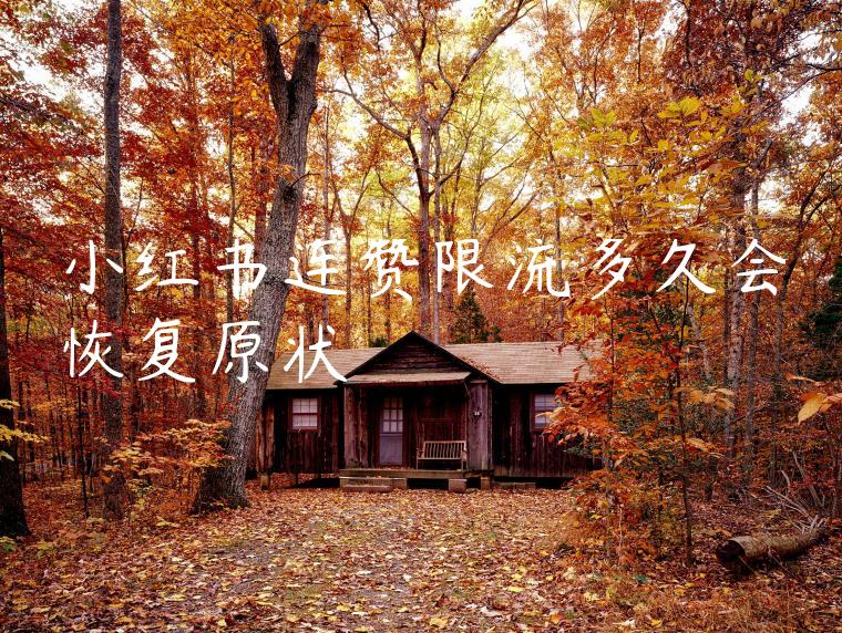 小红书连赞限流多久会恢复原状