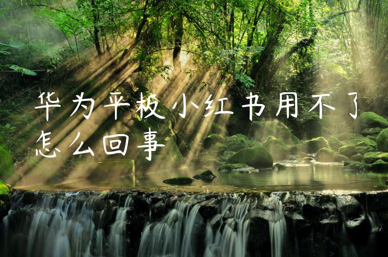 华为平板小红书用不了怎么回事 华为平板小红书用不了怎么回事