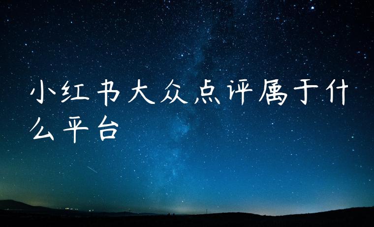 小红书大众点评属于什么平台