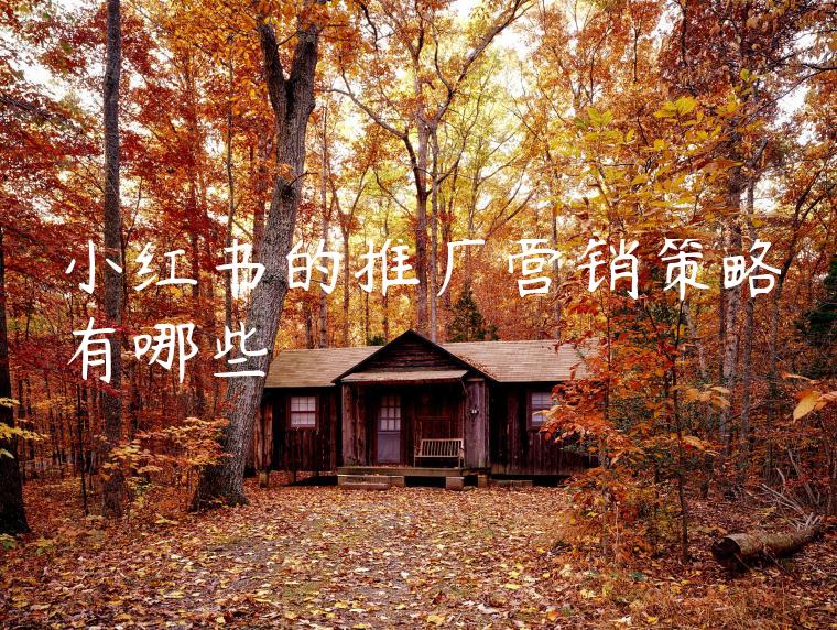 小红书的推广营销策略有哪些