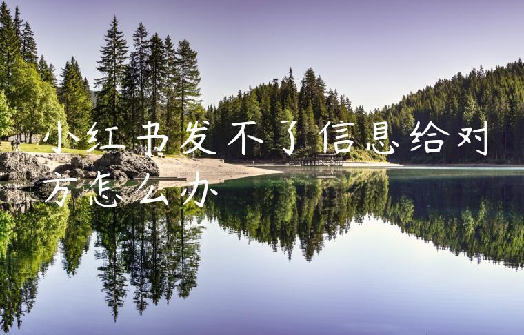 小红书发不了信息给对方怎么办