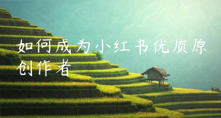 如何成为小红书优质原创作者 如何成为小红书优质原创作者