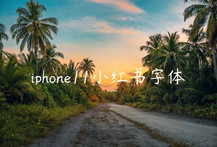 iphone11小红书字体