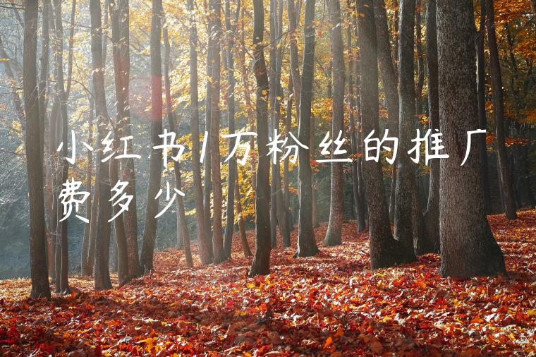 小红书1万粉丝的推广费多少