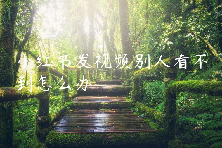 小红书发视频别人看不到怎么办 小红书发视频别人看不到怎么办