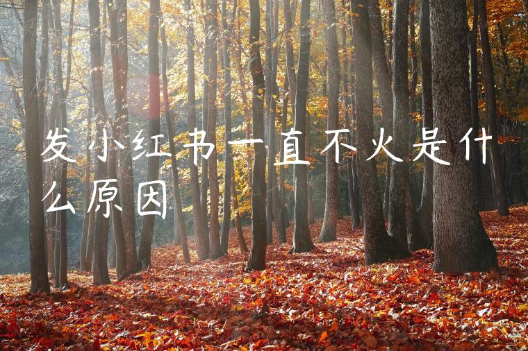 发小红书一直不火是什么原因
