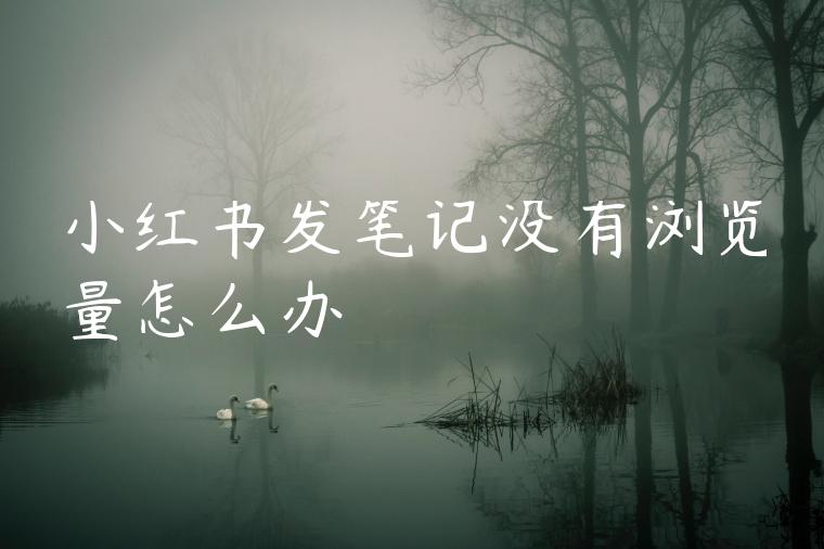 小红书发笔记没有浏览量怎么办