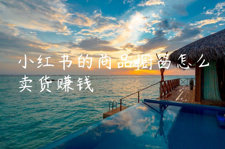 小红书的商品橱窗怎么卖货赚钱