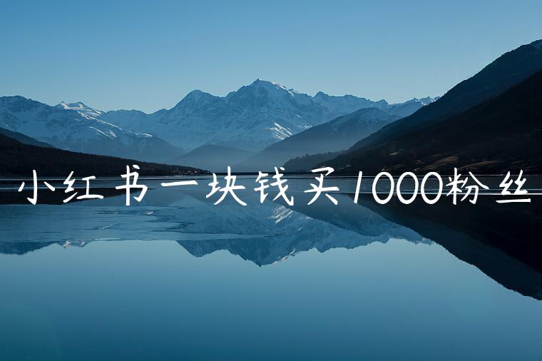小红书一块钱买1000粉丝