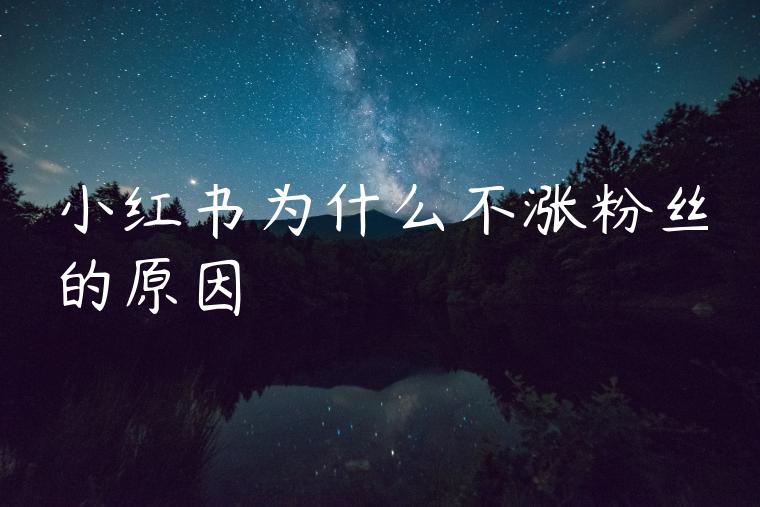 小红书为什么不涨粉丝的原因