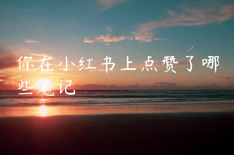 你在小红书上点赞了哪些笔记
