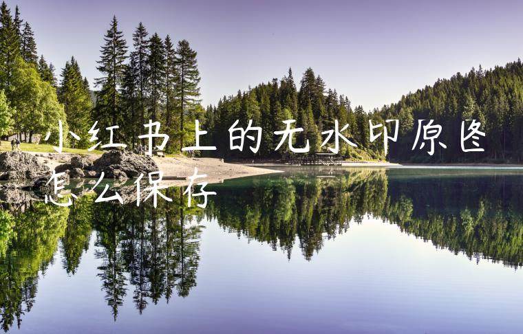 小红书上的无水印原图怎么保存 小红书上的无水印原图怎么保存