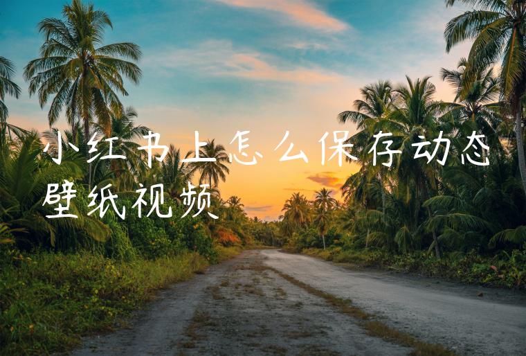 小红书上怎么保存动态壁纸视频 小红书上怎么保存动态壁纸视频