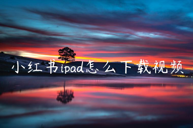 小红书ipad怎么下载视频