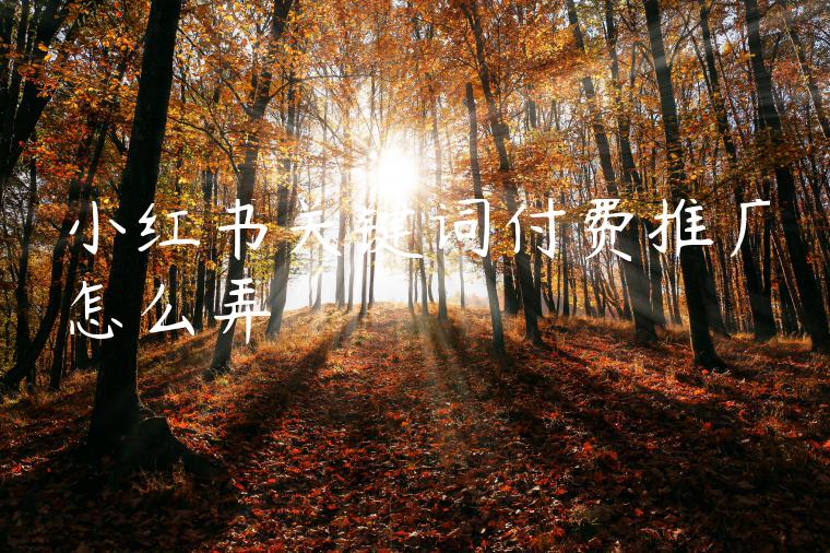 小红书关键词付费推广怎么弄 小红书关键词付费推广怎么弄