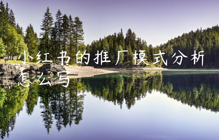 小红书的推广模式分析怎么写